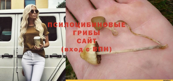 героин Алзамай