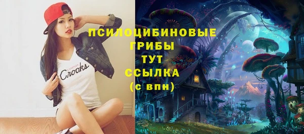 героин Алзамай