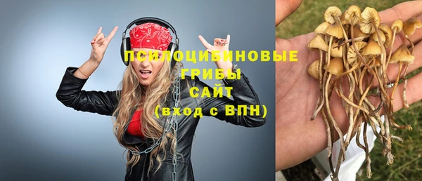 первитин Алексеевка