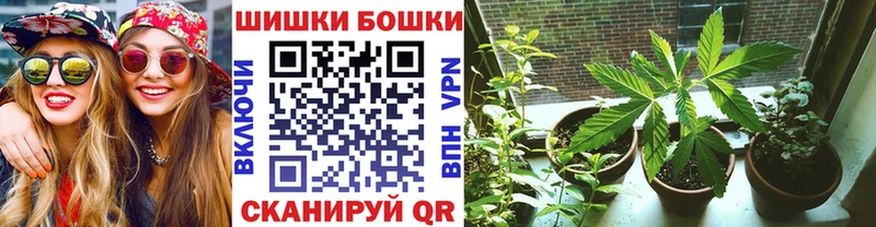 Каннабис план  Орлов 